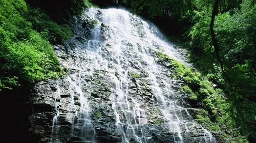 数字化环保高效